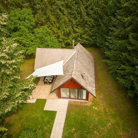Cebelnk: Sanjska Hisica 4 Km Od Bleda Villa เลสเซ ภายนอก รูปภาพ